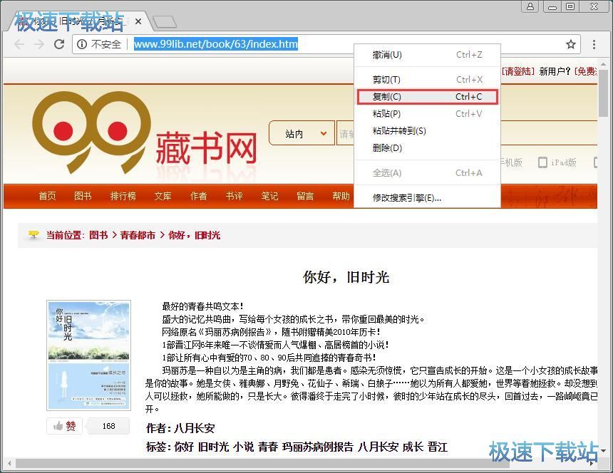 下载在线小说教程
