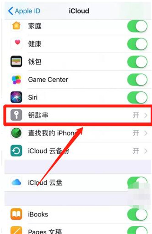 如何设置与开启iCloud钥匙串？