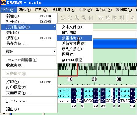 clustal序列比对教程