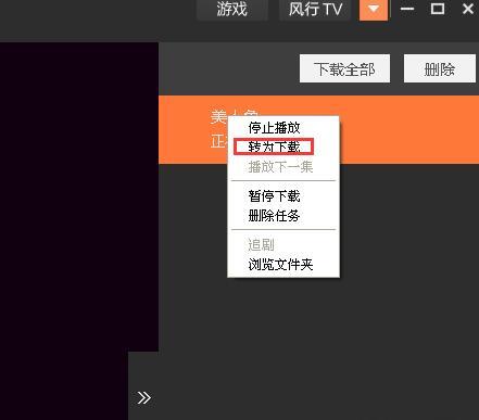 风行网站播放器下载安装使用教学