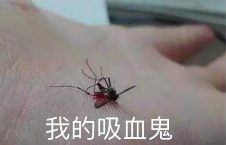 图：“众神归位”世纪之战IG vs FPX2