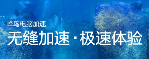 蜂鸟加速器