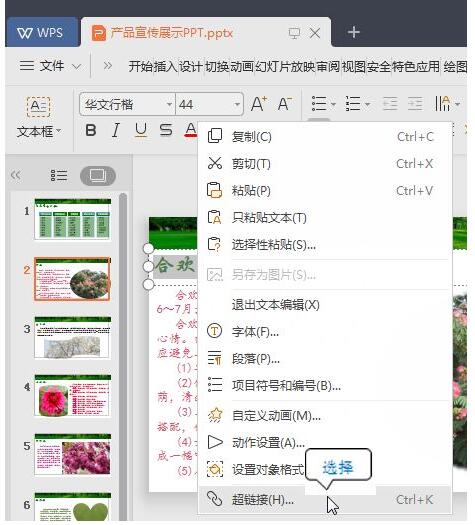 wps演示文稿