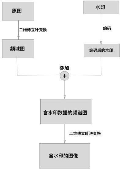 盲水印