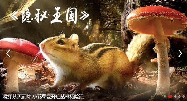 CBox央视影音最新动态及常见问题