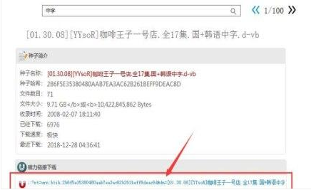 万能磁力搜索引擎功能介绍