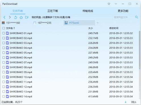 pandownload极速下载器