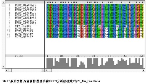多序列比对工具clustalx下载安装