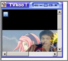 P2P流媒体播放软件TVKoo下载使用简介