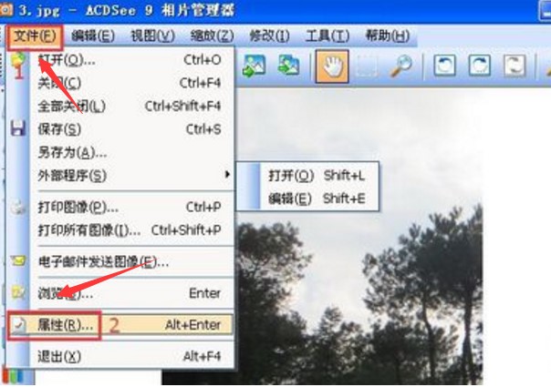 免费版ACDSee9便携版下载使用介绍