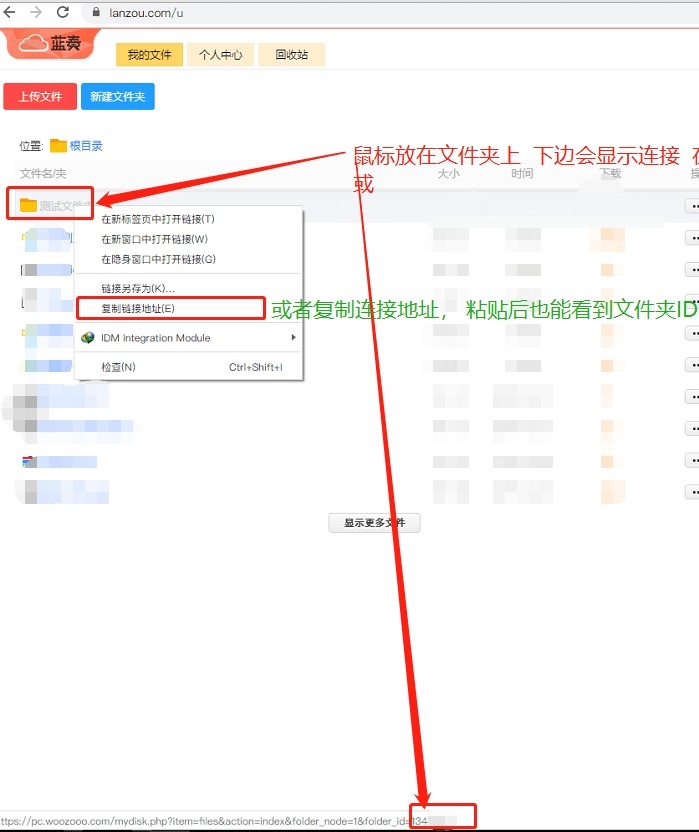 Lanzous（蓝奏解析工具）使用方法
