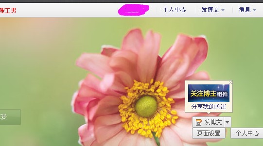 新浪博客刷人气（南极新浪博客访客流量刷新工具）使用及博客查看访客方法