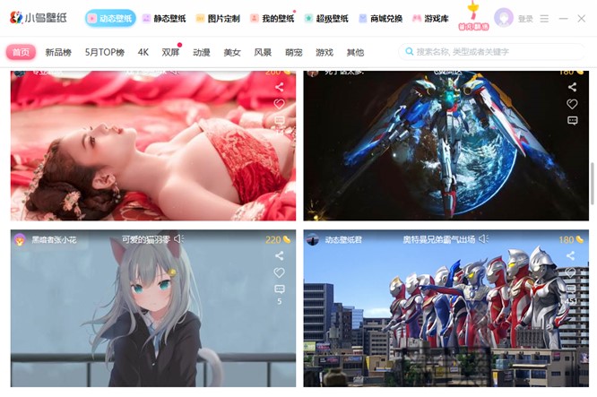 小鸟壁纸电脑版基本内容及功能特色详细介绍