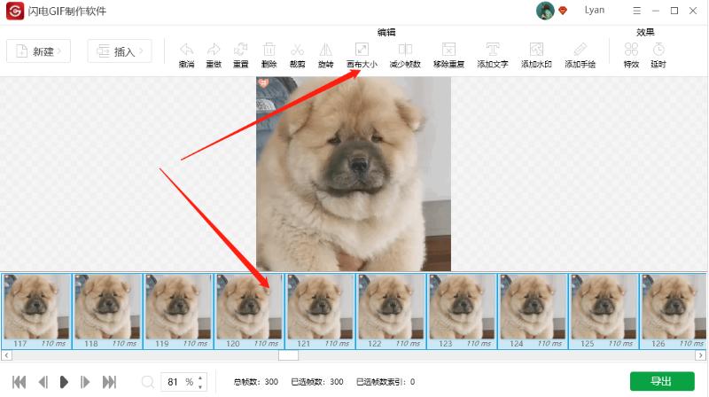 闪电GIF制作使用介绍 