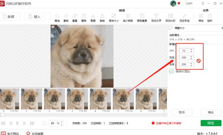 闪电GIF制作使用介绍 