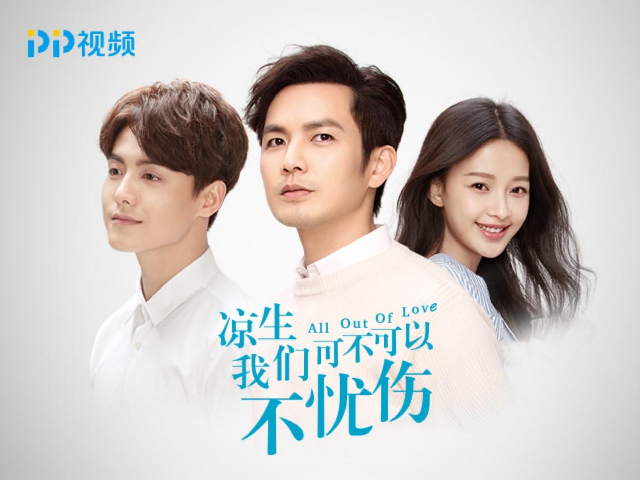 PP视频用途介绍