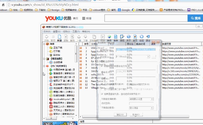维棠FLV视频下载软件使用教学