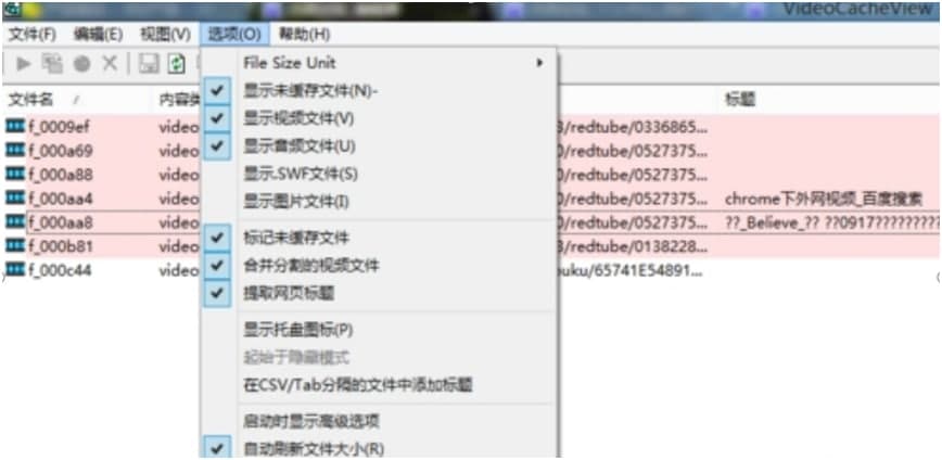 videocacheview中文版使用教程
