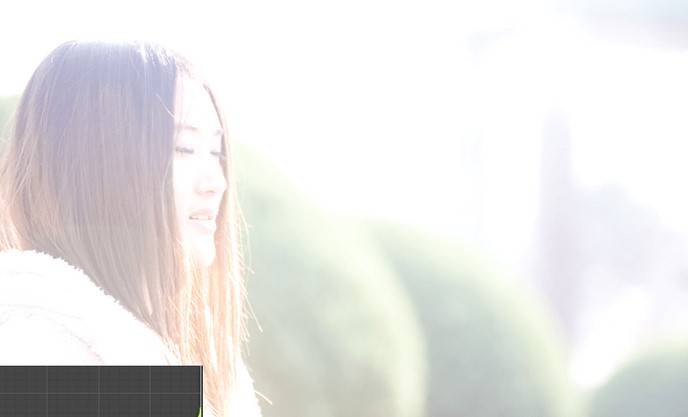 Alien Skin Exposure照片曝光修复教学