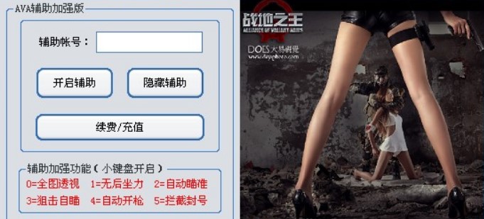 战地之王ava辅助的作用是什么？