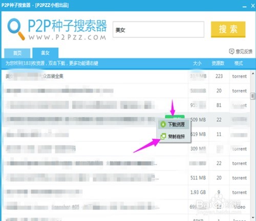 P2P种子搜索器的功能特征与常见问题解答
