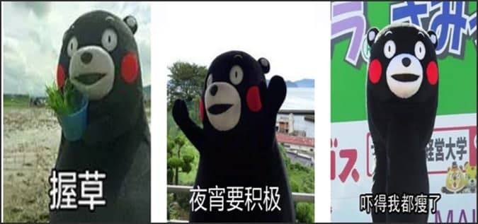 熊本熊动漫表情包来源介绍和使用方法