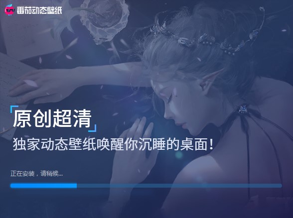 番茄动态壁纸电脑版下载及详细安装教程