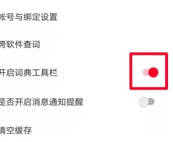 有道词典如何开启词典工具栏