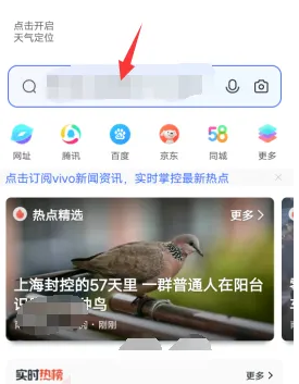 图：vivo浏览器搜索记录在哪看