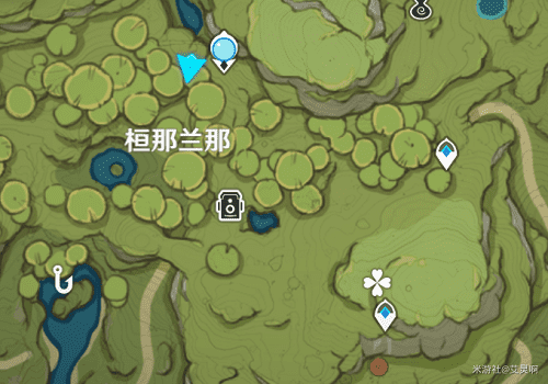 图：原神桓那兰那拍摄攻略