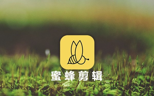 图：蜜蜂剪辑怎么换视频背景