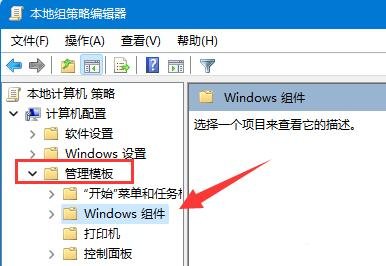 图：win11怎么关闭显卡驱动更新？win11显卡驱动更新关闭教程
